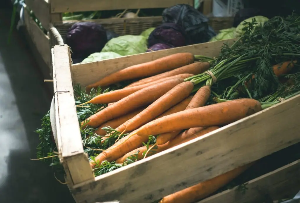 Cagette de carottes fraîchement récoltées